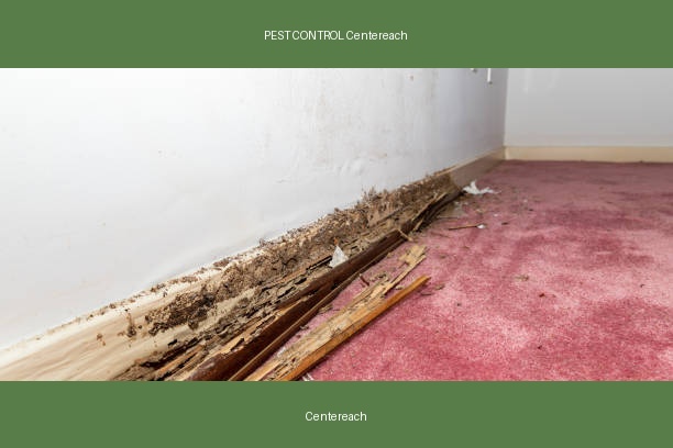 PEST CONTROL Centereach